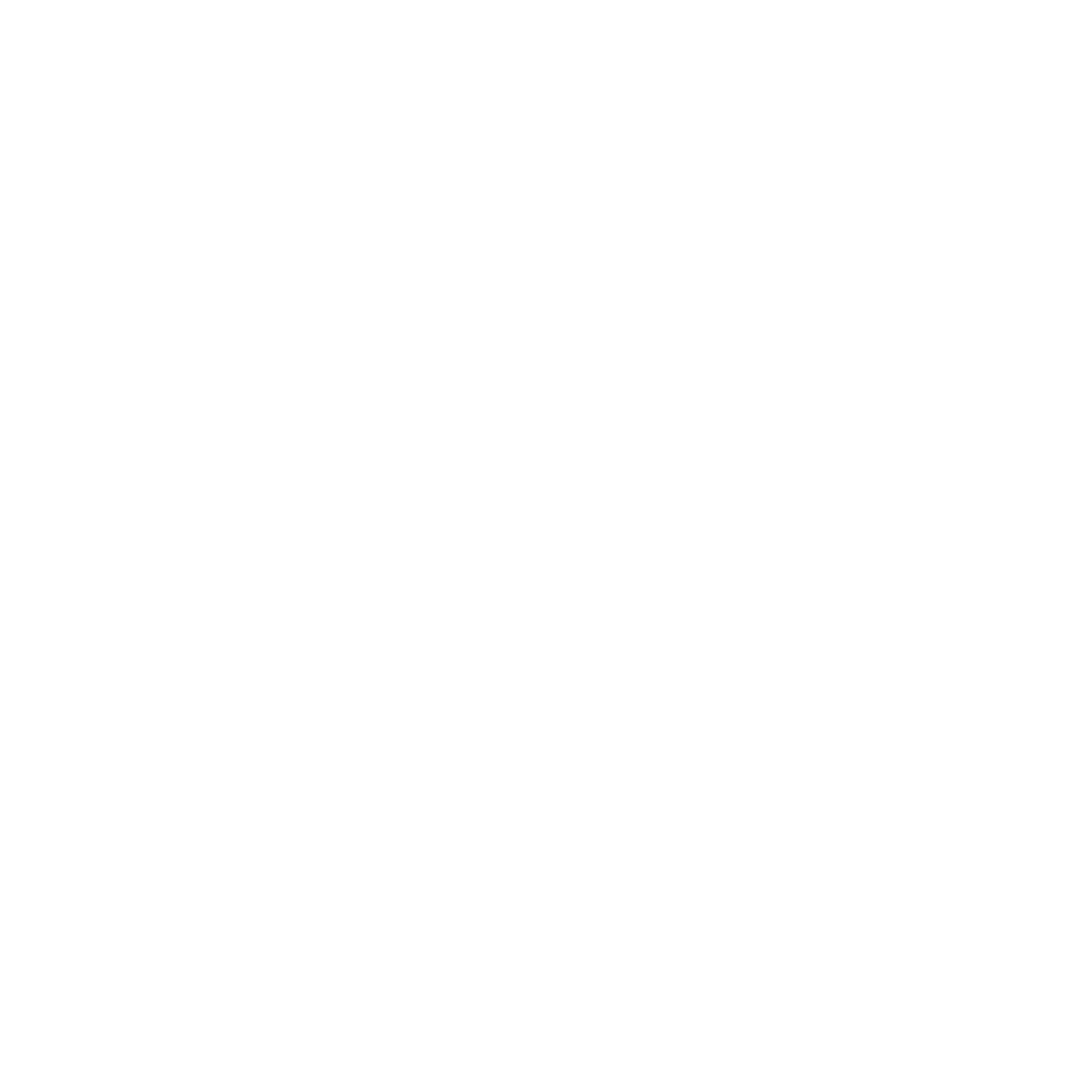 logofinal_branca